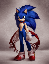 Size: 1541x2000 | Tagged: safe, artist:lynjox, sonic the hedgehog, scarf