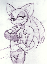 Size: 796x1069 | Tagged: suggestive, artist:king cheetah, rouge the bat, busty rouge, pencilwork, surfboard