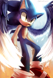 Size: 1000x1450 | Tagged: safe, artist:spacecolonie, sonic the hedgehog, daytime, flying, solo, wings