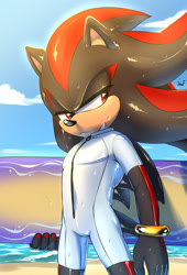 Size: 1500x2200 | Tagged: safe, artist:krazyelf, shadow the hedgehog, beach, clouds, daytime, looking back, surfboard, swimsuit