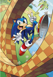 Size: 515x747 | Tagged: safe, artist:matt herms, artist:tracy yardley, sonic the hedgehog, sonic the hedgehog fcbd 2011, cover art, featured image, loop, orange brown checkerboard, palm tree, solo, sunflower