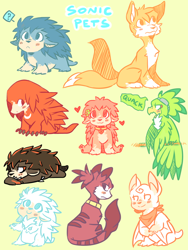 Size: 900x1200 | Tagged: safe, artist:diachanx, amy rose, blaze the cat, jet the hawk, knuckles the echidna, miles "tails" prower, rouge the bat, shadow the hedgehog, silver the hedgehog, sonic the hedgehog, animalified, collar, literal animal, scarf