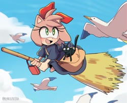 Size: 1435x1162 | Tagged: safe, artist:reemii69073764, amy rose, cat, broom, flying, kiki's delivery service, literal animal, seagull, witch outfit