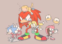 Size: 1000x713 | Tagged: safe, artist:anoiy_math, knuckles the echidna, mighty the armadillo, miles "tails" prower, ray the flying squirrel, sonic the hedgehog, crying, lollipop, sleeping
