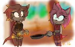 Size: 1024x648 | Tagged: safe, artist:suzukiwee1357, amy rose, oc, oc:ember the echidna, echidna, hedgehog, frying pan, inadvisable cooking