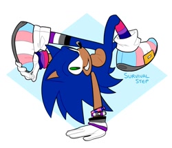 Size: 1480x1273 | Tagged: safe, artist:survivalstep, sonic the hedgehog, asexual pride, bisexual pride, featured image, nike mouth, pride, solo, trans pride