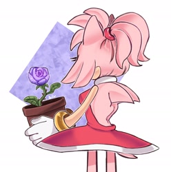 Size: 2986x3014 | Tagged: safe, artist:comfiesilv, amy rose, back quills, flower, from behind, solo
