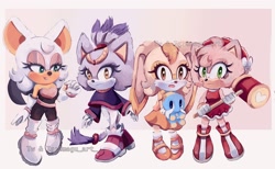 Size: 2048x1264 | Tagged: safe, artist:cometshina, amy rose, blaze the cat, cheese (chao), cream the rabbit, rouge the bat, movie style, piko piko hammer