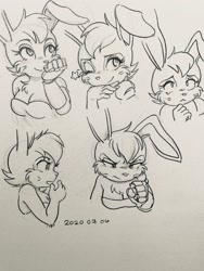 Size: 1536x2048 | Tagged: safe, artist:roboticised, bunnie rabbot, expression sheet, solo, wink