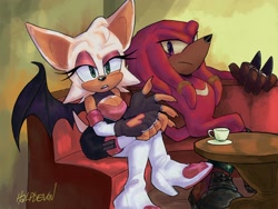 Size: 2048x1536 | Tagged: safe, artist:halpdevon, knuckles the echidna, rouge the bat, redraw