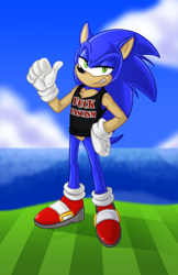 Size: 828x1280 | Tagged: safe, sonic the hedgehog, clouds, daytime, looking at viewer, ocean