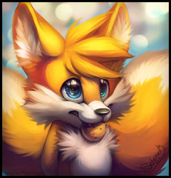 Size: 768x799 | Tagged: safe, artist:mylafox, miles "tails" prower, fox, abstract background, blue eyes, clouds, cookie, cookie in mouth, cute, dawww, fangs, fluffy, hands behind back, large ears, looking up, mouth hold, no outlines, signature, solo, tailabetes, two tails, white fur, white tipped tail, yellow fur