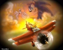 Size: 1858x1474 | Tagged: safe, artist:twisted-wind, miles "tails" prower, sonic the hedgehog, clouds, flying, frown, gender swap, goggles, holding hands, looking at each other, looking offscreen, memory, mouth open, red scarf, scarf, signature, sunset, tornado i, twisted tails