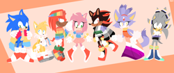 Size: 4096x1714 | Tagged: safe, artist:artyyline, amy rose, blaze the cat, knuckles the echidna, miles "tails" prower, shadow the hedgehog, silver the hedgehog, sonic the hedgehog, abstract background, aromantic pride, asexual pride, bisexual pride, blushing, cape, dress, flag, frown, gay pride, happy, headband, jumper, lesbian pride, looking offscreen, no outlines, nonbinary pride, pansexual pride, pride, shirt, smile, trans pride