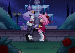Size: 3508x2480 | Tagged: safe, artist:hikariviny, amy rose, blaze the cat, amy x blaze, blushing, duo, flower, fountain, holding hands, lesbian, lidded eyes, looking at each other, nighttime, outdoors, rose, shipping, sitting, smile, star (sky), water