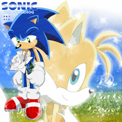 Size: 600x600 | Tagged: safe, artist:silveralchemist09, miles "tails" prower, sonic the hedgehog, fanfic:the tails ghost, blue eyes, blue fur, flower, frown, ghost, gloves, green eyes, happy, holding flowers, implied death, looking at viewer, looking down, peach arms, peach fur, red shoes, red sneakers, sad, sneakers, socks, sonic x style, white gloves, white socks