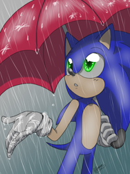 Size: 768x1024 | Tagged: safe, artist:animesonic2, sonic the hedgehog, looking up, rain, signature, umbrella