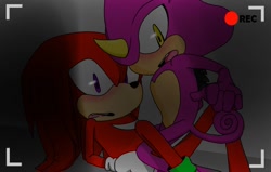 Size: 792x504 | Tagged: suggestive, artist:darkgwd, espio the chameleon, knuckles the echidna, blushing, camera, gay, implied charmy bee, knuxio, looking at camera, recording, shipping, surprised