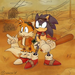 Size: 735x737 | Tagged: safe, artist:that1menardfan, miles "tails" prower, sonic the hedgehog, aviator jacket, bandage, baseball bat, duo, goggles, kneepads, scarf, sonic and the secret rings, sunglasses, wasteland