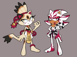 Size: 2048x1523 | Tagged: safe, artist:starheavenly, blaze the cat, shadow the hedgehog