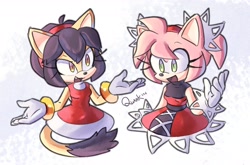 Size: 2210x1458 | Tagged: safe, artist:quark196, amy rose, honey the cat, outfit swap