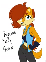Size: 1182x1569 | Tagged: safe, artist:cinnabunarts, sally acorn, sally's ringblader outfit