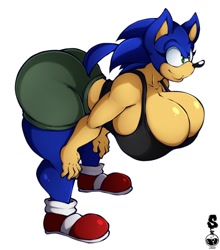 Size: 1124x1280 | Tagged: suggestive, artist:superix, sonic the hedgehog, bootyfull sonic, busty sonic, gender swap, hyper breasts