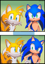 Size: 1000x1414 | Tagged: safe, artist:harooncookiez720, miles "tails" prower, sonic the hedgehog, duo, looking at viewer, panels, redraw