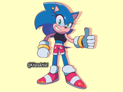 Size: 2400x1800 | Tagged: safe, artist:kitarehamakura, sonic the hedgehog, gender swap, spoilers in source, thumbs up