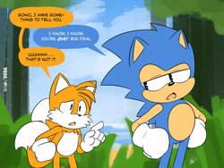 Size: 1600x1200 | Tagged: safe, artist:joaoppereiraus, miles "tails" prower, sonic the hedgehog, abstract background, daytime, dialogue, forest, mania style