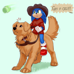 Size: 1280x1280 | Tagged: safe, artist:solar socks, ozzy the dog, sonic the hedgehog, riding on back, tennis ball, this will end in tears