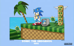Size: 1280x800 | Tagged: safe, artist:sybermaker16, sonic the hedgehog, sonic the hedgehog (1991), monitor, ocean, palm tree, sunflower, totem pole