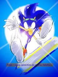 Size: 626x832 | Tagged: safe, artist:manaita, sonic the hedgehog, extreme gear, from above, sonic riders, sun, sunglasses