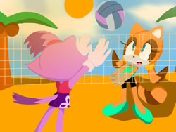 Size: 1200x900 | Tagged: safe, artist:picorose, blaze the cat, marine the raccoon, beach, coconut, daytime, palm tree, volleyball
