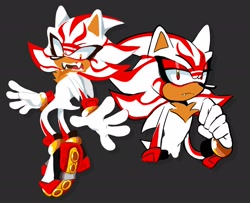 Size: 2049x1664 | Tagged: safe, artist:starheavenly, shadow the hedgehog