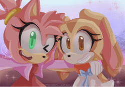 Size: 706x493 | Tagged: safe, artist:0artbyme0, amy rose, cream the rabbit, wink