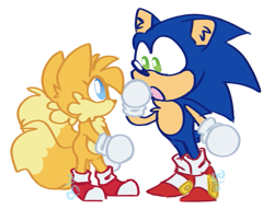 Size: 719x549 | Tagged: safe, artist:clouduu17, miles "tails" prower, sonic the hedgehog, looking at each other