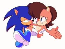 Size: 2400x1800 | Tagged: safe, artist:spinstellar, sally acorn, sonic the hedgehog, carrying them, sonic is not amused, unamused