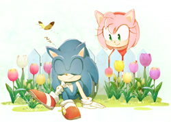 Size: 1506x1070 | Tagged: safe, artist:msg02, amy rose, sonic the hedgehog, butterfly, flower, sleeping