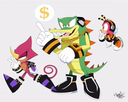 Size: 4096x3267 | Tagged: safe, charmy bee, espio the chameleon, vector the crocodile, team chaotix