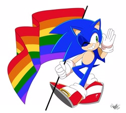 Size: 2048x1833 | Tagged: safe, artist:vivicarol0200, sonic the hedgehog, featured image, flag, pride, solo