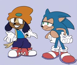 Size: 956x804 | Tagged: safe, artist:chillaxinsonic, sonic the hedgehog, crossover, duo, hands on hips, looking at each other, mobianified, parappa the rapper