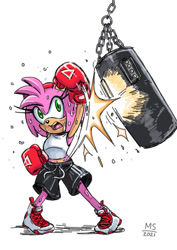 Size: 595x839 | Tagged: safe, artist:masarage, amy rose, 30 days sonic, boxing gloves, punching, punching bag, sweat