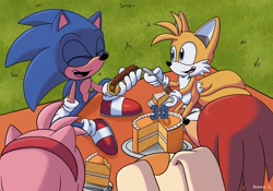 Size: 2048x1431 | Tagged: safe, artist:joanacalado8, amy rose, knuckles the echidna, miles "tails" prower, sonic the hedgehog, 30 days sonic, cake, chili dog, laughing, picnic