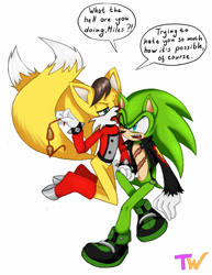 Size: 1024x1328 | Tagged: semi-grimdark, suggestive, artist:tanyawind, miles (anti-mobius), scourge the hedgehog, bleeding, blood, dialogue, gay, glasses, kneeling, licking, scouriles, shipping, simple background, speech bubble, spiked bracelet, white background