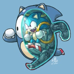 Size: 800x800 | Tagged: safe, artist:ry-spirit, sonic the hedgehog, fall guys, ring, solo