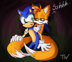 Size: 1023x880 | Tagged: semi-grimdark, artist:tanyawind, miles "tails" prower, sonic the hedgehog, blood, chipped ear, dialogue, evil, evil grin, evil tails, gay, good end?, hand on shoulder, holding them, lidded eyes, looking at each other, shipping, sonic x tails, this will end in blood, yandere