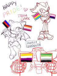 Size: 1280x1707 | Tagged: safe, artist:mapleydoodles, e-123 omega, rouge the bat, shadow the hedgehog, aromantic pride, flag, frown, genderfluid pride, heart, lesbian pride, nonbinary pride, pansexual pride, polyamorous pride, pride, robot, simple background, sketch, team dark, white background, wink