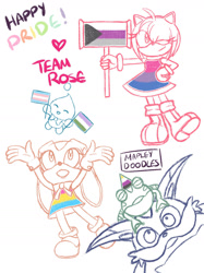 Size: 1280x1707 | Tagged: safe, artist:mapleydoodles, amy rose, big the cat, cheese (chao), cream the rabbit, froggy, chao, bisexual pride, demisexual pride, flag, genderqueer pride, happy, hat, heart, nonbinary pride, pansexual pride, piko piko hammer, pride, simple background, sketch, team rose, white background, wink