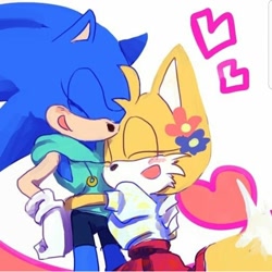 Size: 1080x1082 | Tagged: artist needed, source needed, safe, miles "tails" prower, sonic the hedgehog, abstract background, blushing, cute, duo, flowers, gender swap, hearts, hugging, lesbian, r63 shipping, shipping, skirt, sonabetes, sonic x tails, tailabetes